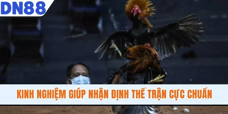 Kinh nghiệm giúp nhận định thế trận cực chuẩn