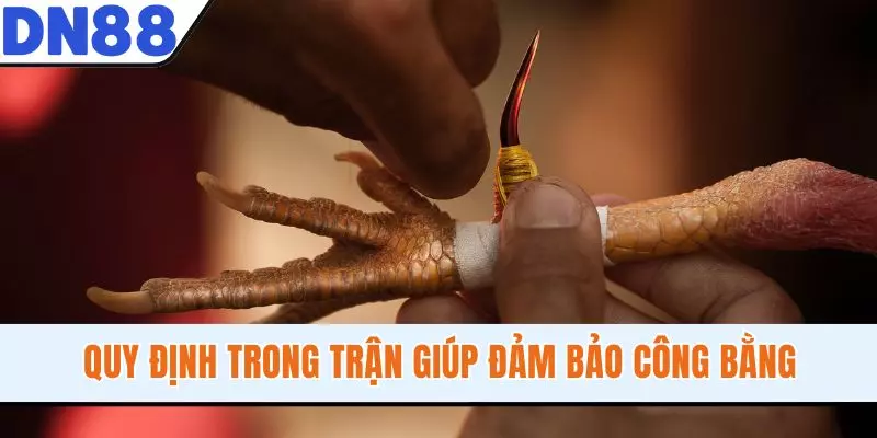 Quy định trong trận giúp đảm bảo công bằng