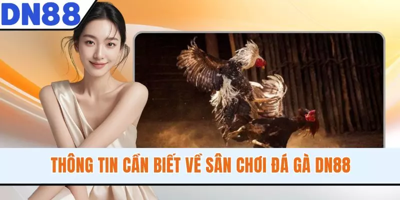Thông tin cần biết về sân chơi đá gà DN88